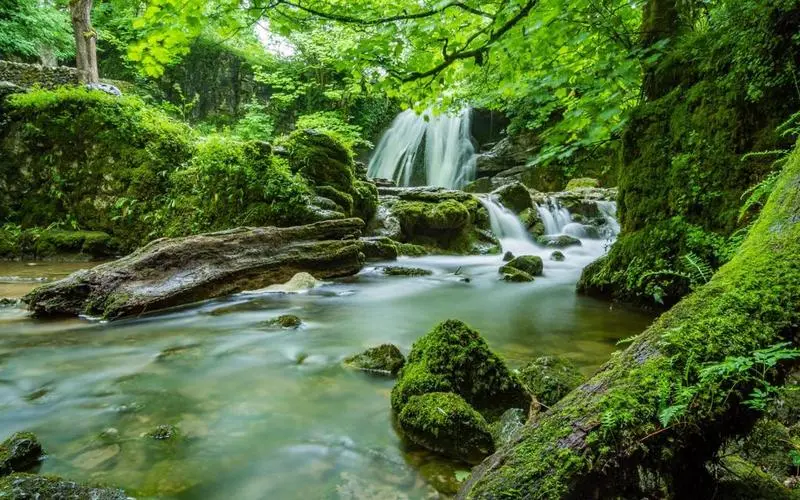 高标准科技